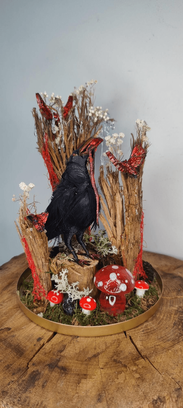 Corbeau mystique sous cloche