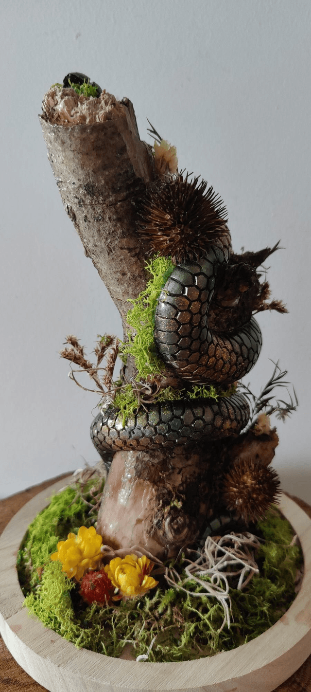 Fantasy sous cloche : Serpent mystique Bois et végétaux 