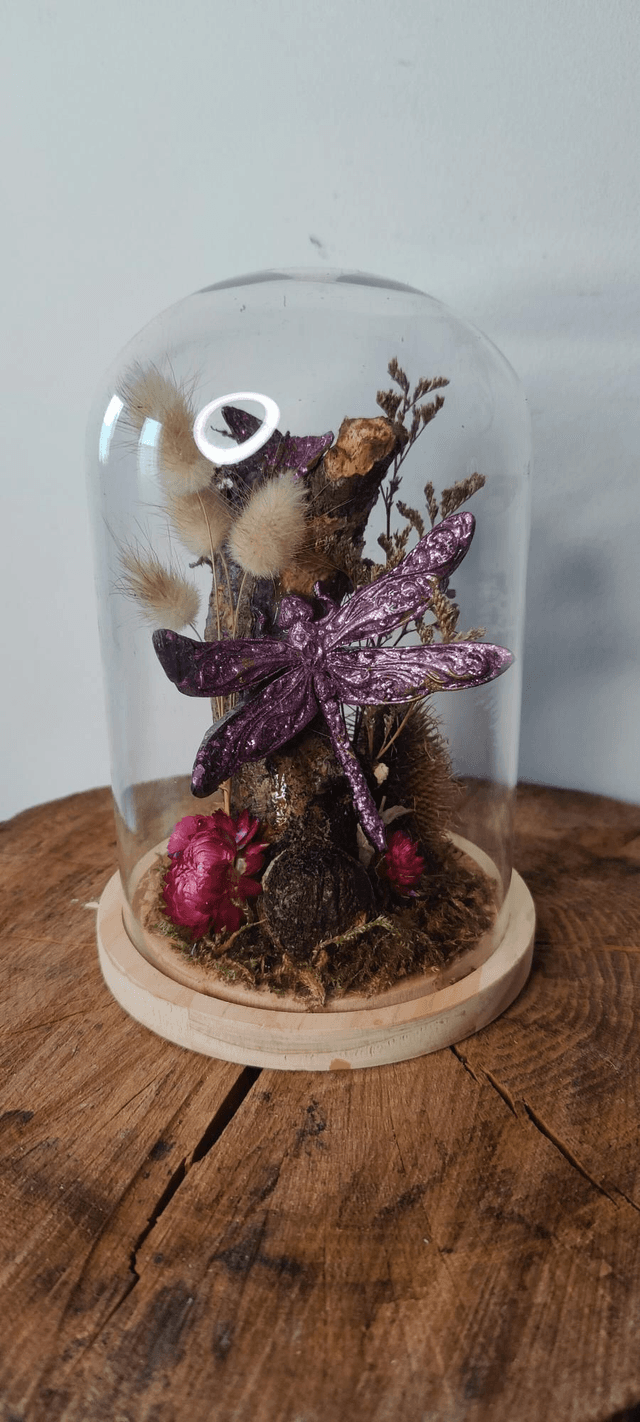 Fantasy sous cloche: la libellule envoutante