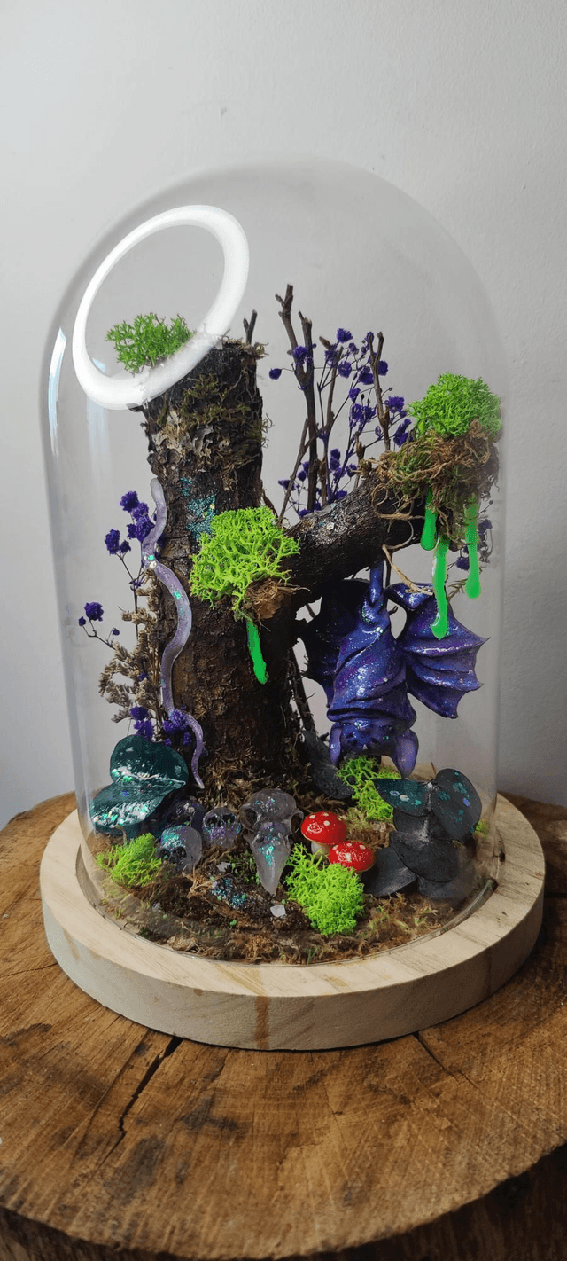 Fantasy sous cloche: La chauve souris phosphorescente